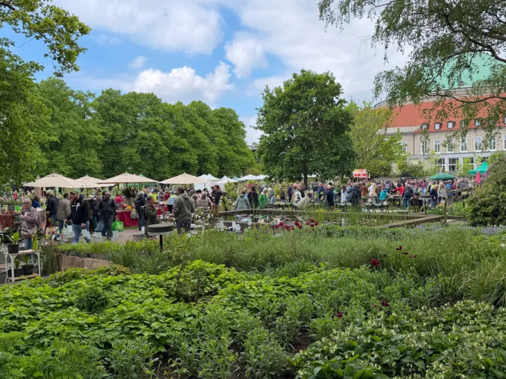 Impression der Hannoverschen Pflanzentage im Stadtpark.