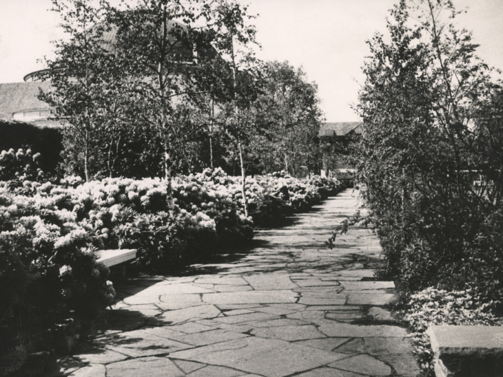 Ein altes Foto, das den hannoverschen Stadtpark zeigt.