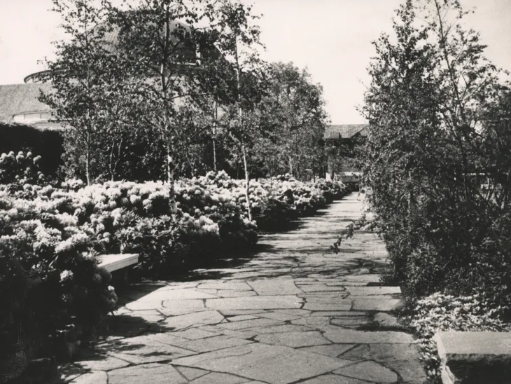 Ein altes Foto, das den hannoverschen Stadtpark zeigt.