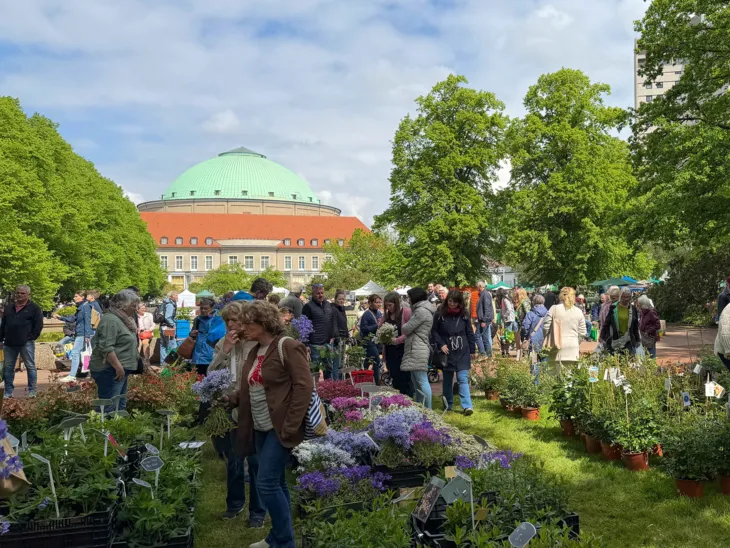 Impression der Hannoverschen Pflanzentage im Stadtpark.