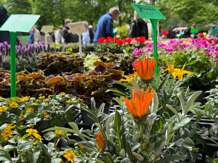 Impression der Hannoverschen Pflanzentage im Stadtpark.