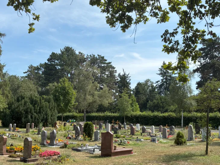 Blick auf ein Gräberfeld auf einem Friedhof.