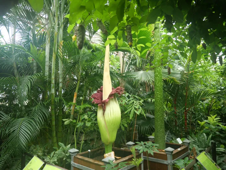 Das Blatt hat sich geschlossen