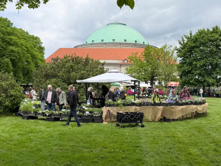 Impression der Hannoverschen Pflanzentage im Stadtpark.