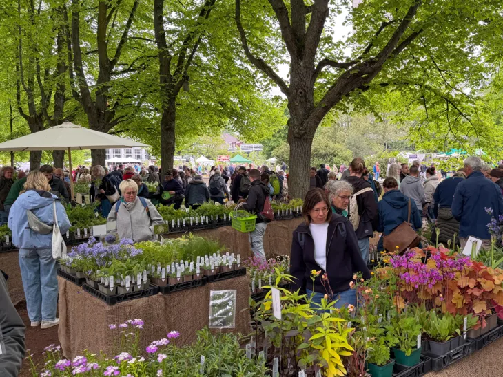 Impression der Hannoverschen Pflanzentage im Stadtpark.