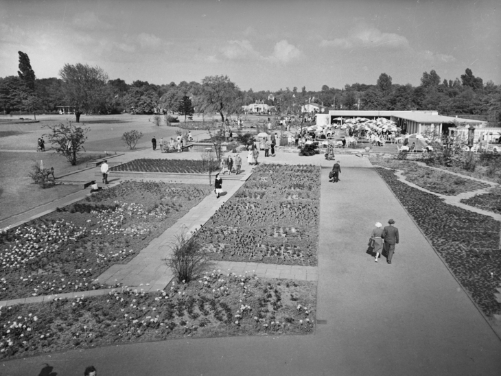 Ein altes Foto, das den hannoverschen Stadtpark zeigt.