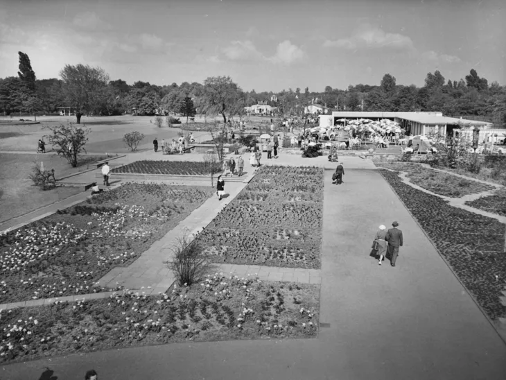 Ein altes Foto, das den hannoverschen Stadtpark zeigt.