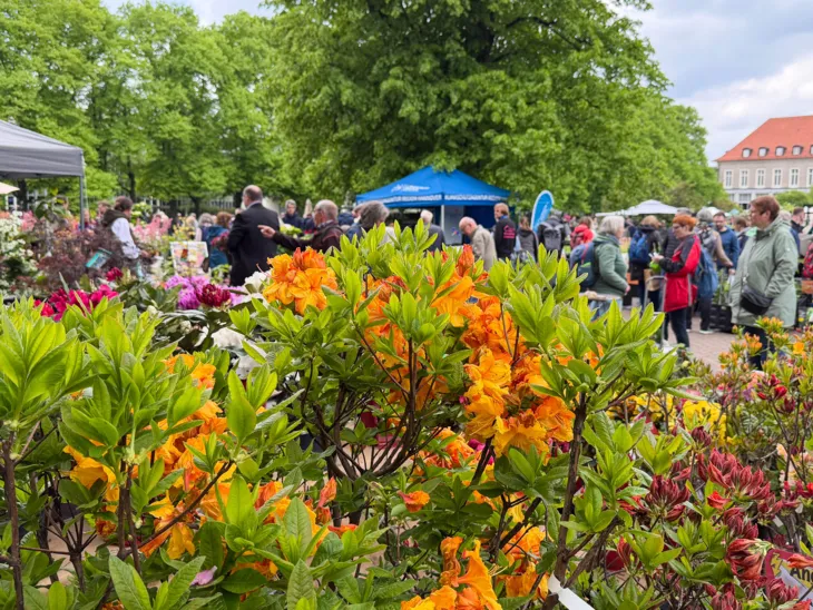 Impression der Hannoverschen Pflanzentage im Stadtpark.