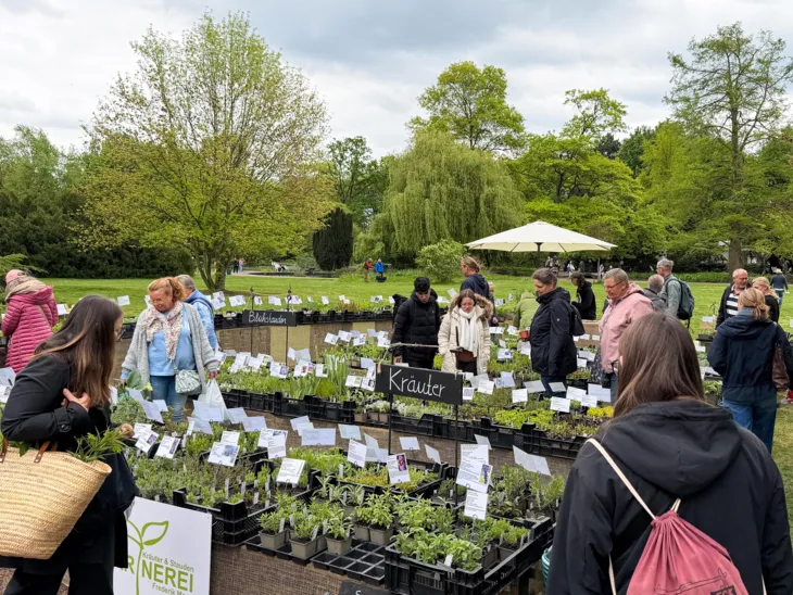 Impression der Hannoverschen Pflanzentage im Stadtpark.