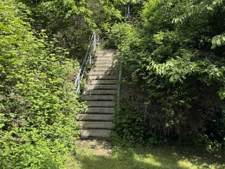 Gipfeltreppe: Umgeben von vielen grünen Büschen und Baumen