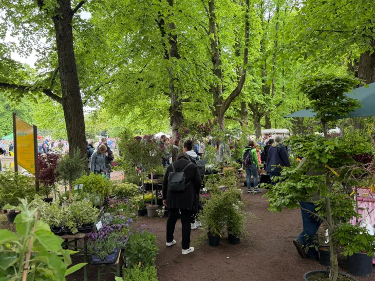 Impression der Hannoverschen Pflanzentage im Stadtpark.
