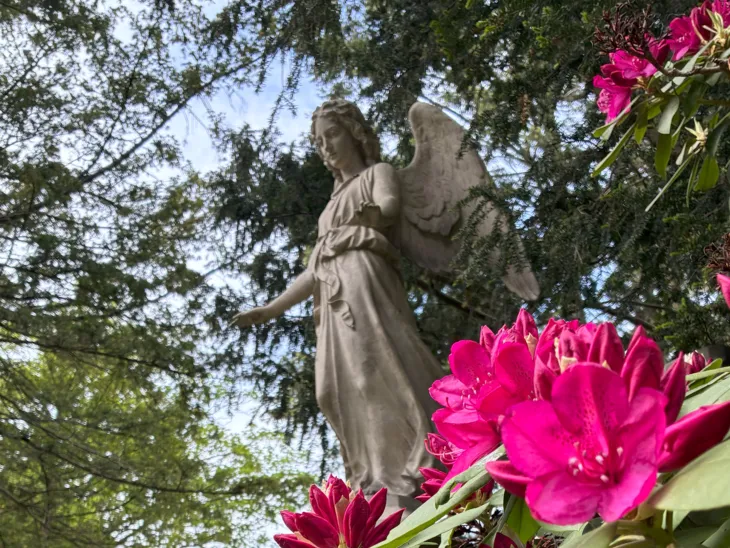 Ein Engel aus Stein auf einem Friedhof.