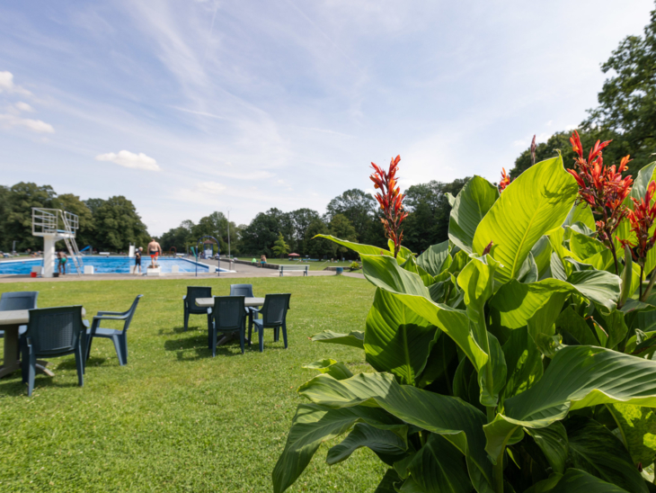 Rasenfläche mit Stühlen, Tischen, Kübelpflanzen, im Hintergrund des Becken eines Freibades mit Sprungturm