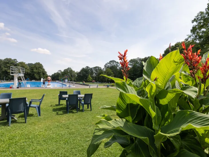 Rasenfläche mit Stühlen, Tischen, Kübelpflanzen, im Hintergrund des Becken eines Freibades mit Sprungturm