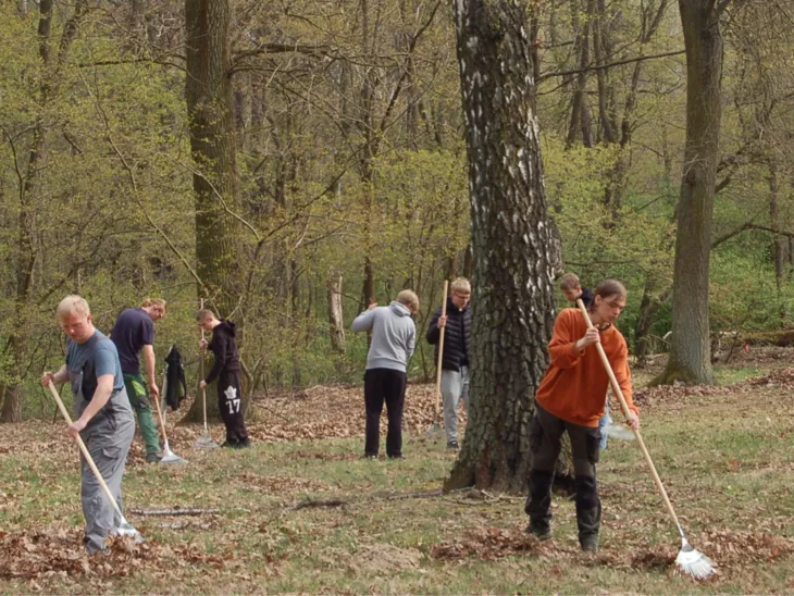 Schüler*innen hacken gemeinsam Laub auf dem Friedhofsgelände.