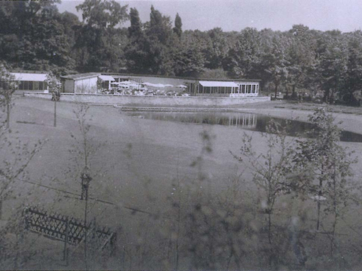 Ein altes Foto, das den hannoverschen Stadtpark zeigt.