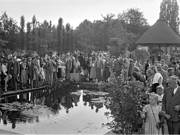 Ein altes Foto, das den hannoverschen Stadtpark zeigt.