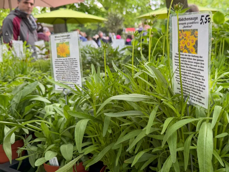 Impression der Hannoverschen Pflanzentage im Stadtpark.