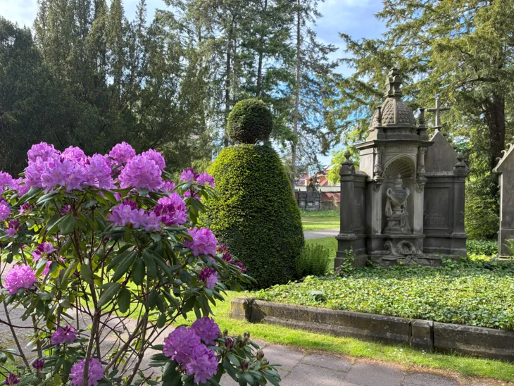 Blick auf einen Friedhof.