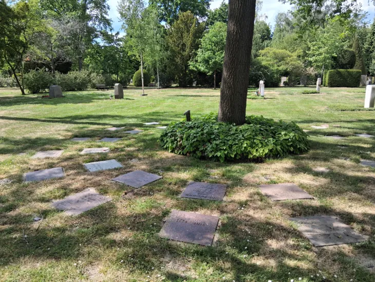 Blick auf einen Friedhof.
