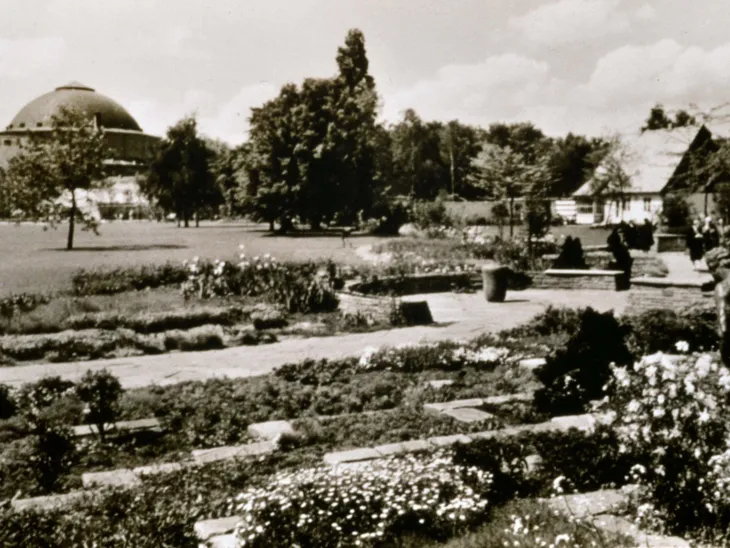 Ein altes Foto, das den hannoverschen Stadtpark zeigt.