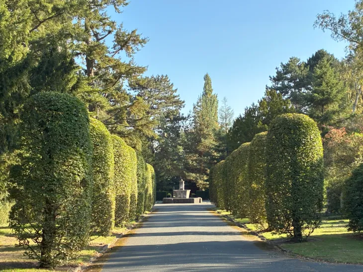 Allee auf einem Friedhof.