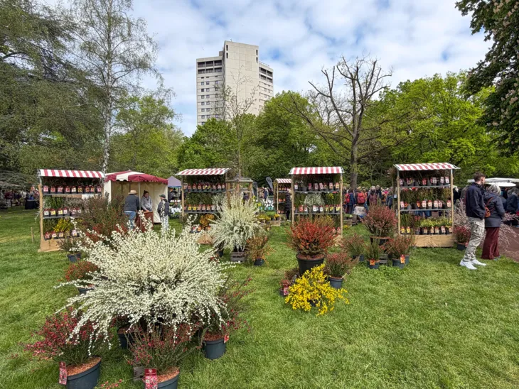 Impression der Hannoverschen Pflanzentage im Stadtpark.