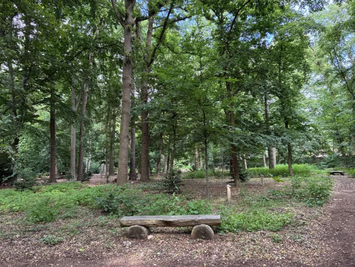 Ein Wald auf einem Friedhof.