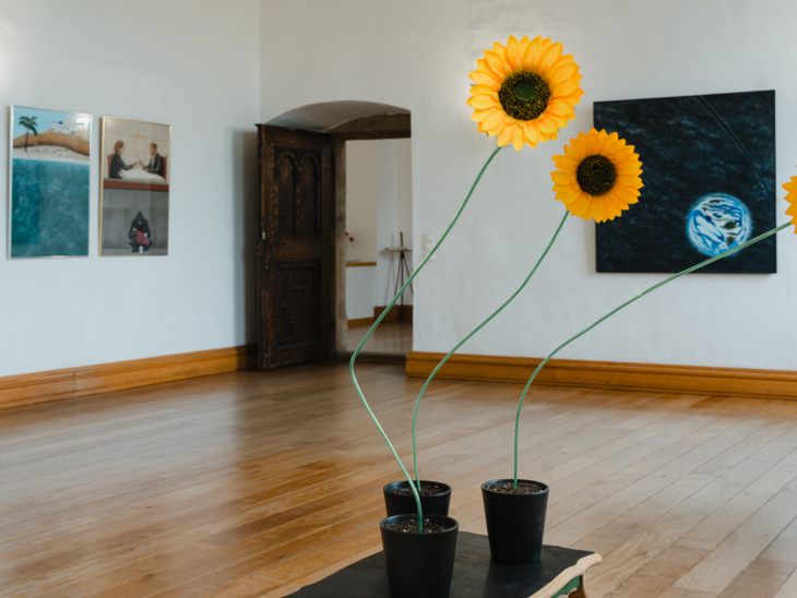 Ausstellung im Schloss Landestrost