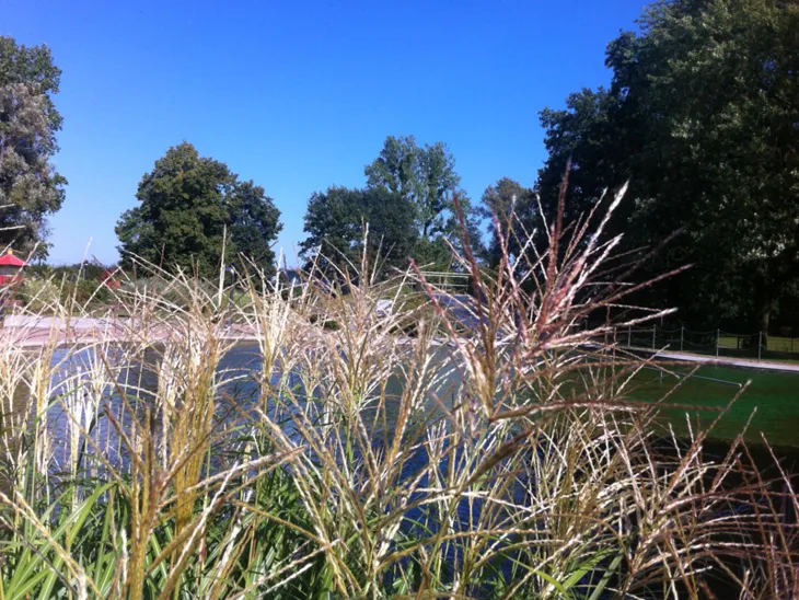 Das Naturbad Hainholz im Sommer