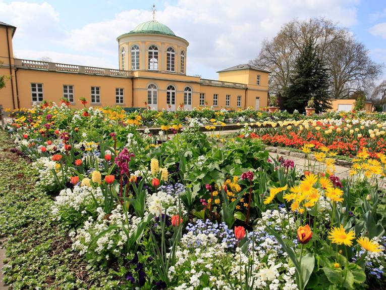Frühlingshafter Wechselflor im Schmuckhof