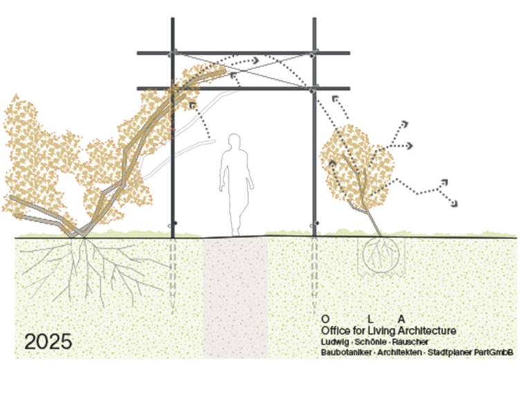 Skizze des Laubengangs