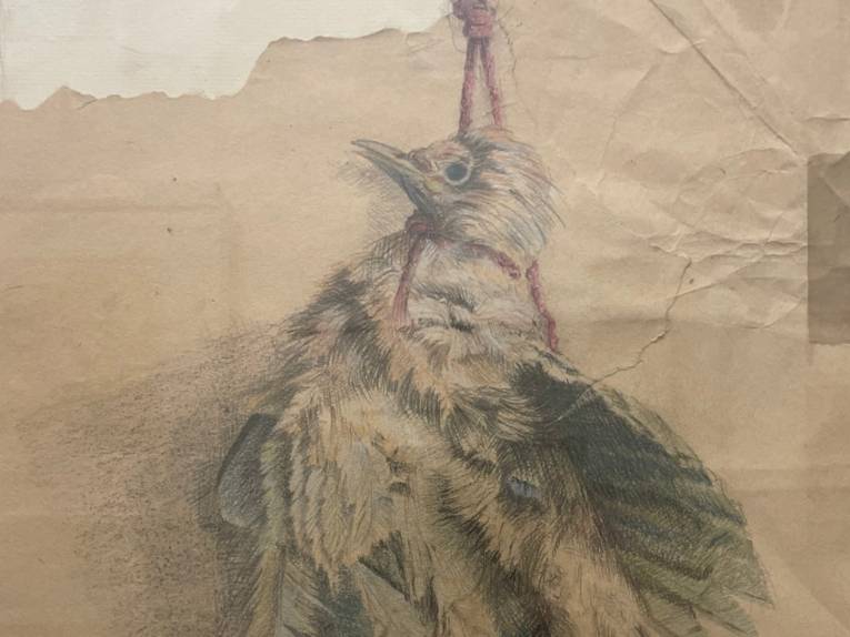 Zu sehen ist eine Zeichnung eines Huhnes auf braunem Papier, das um den Hals eine gespannte rote Schnur hat.