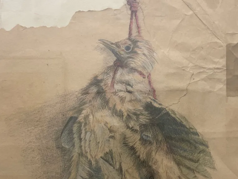 Zu sehen ist eine Zeichnung eines Huhnes auf braunem Papier, das um den Hals eine gespannte rote Schnur hat.
