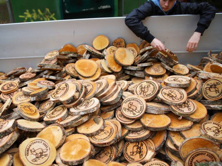 Baumscheiben in einem Container.