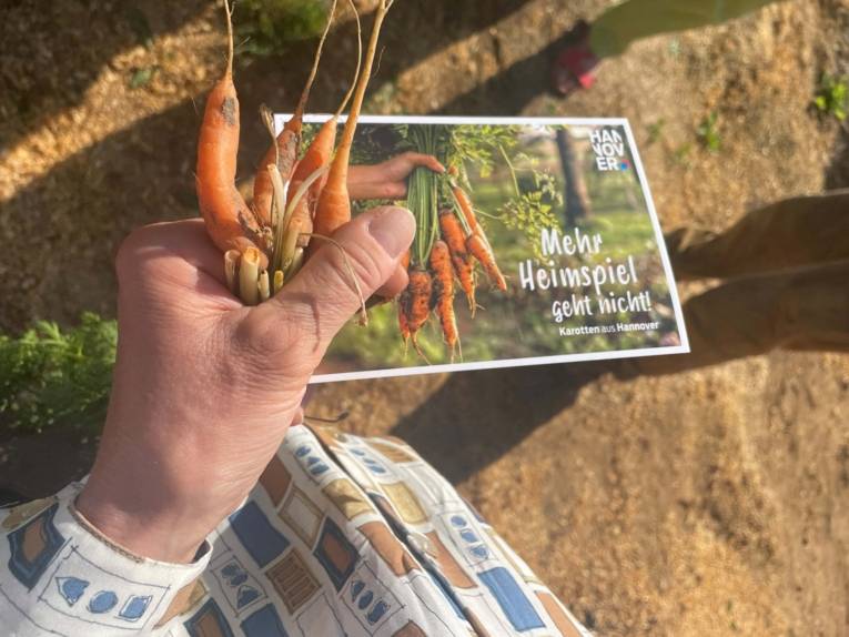 Eine Hand, die einen Flyer hält.