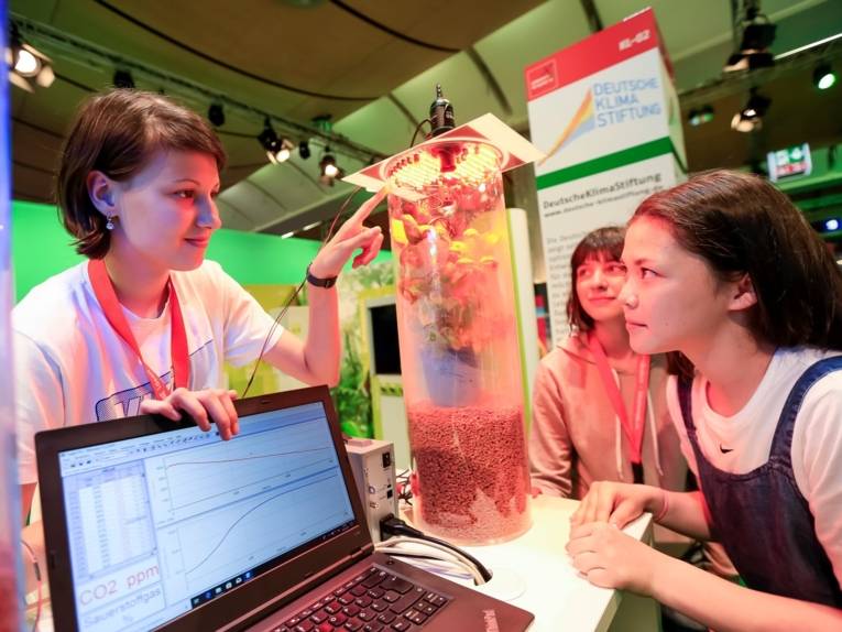 naturwissenschaftliche Experimente