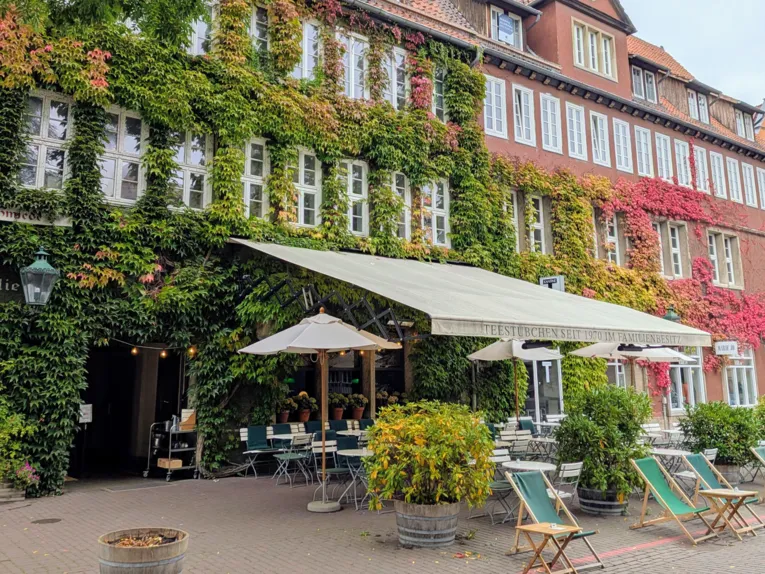 Bild von einem Kaffee in altem Haus mit viel Wein an der Fassade.