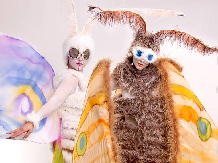 Tag- und Nachtfalter