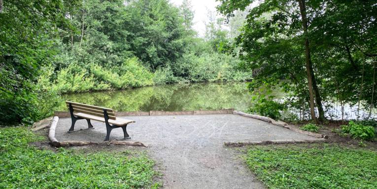 Eine Bank, die vor einem kleinen Teich steht. Im Hintergrund viele grüne Pflanzen.