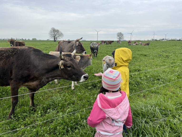 Ökologischen Landbau erleben durch direkte Begegnungen