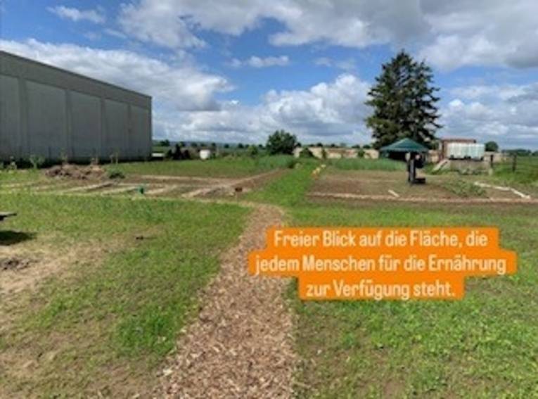 Blick auf ein Feld.