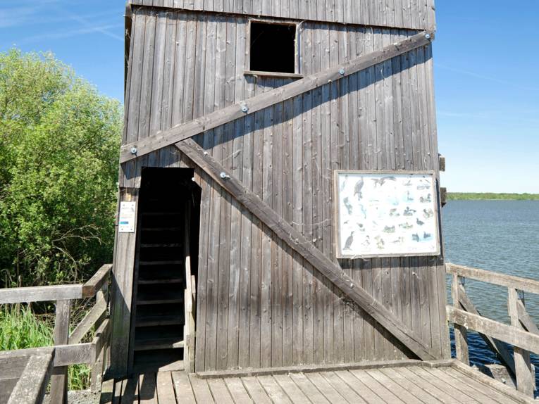 Aussichts-Turm am Steinhuder Meer, neben dem Eingang ist eine Schautafel mit Vögeln.