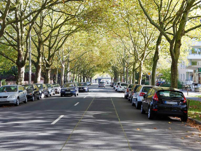 Blick auf eine Straße.