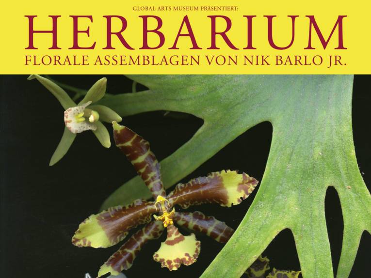 Motiv Herbarium