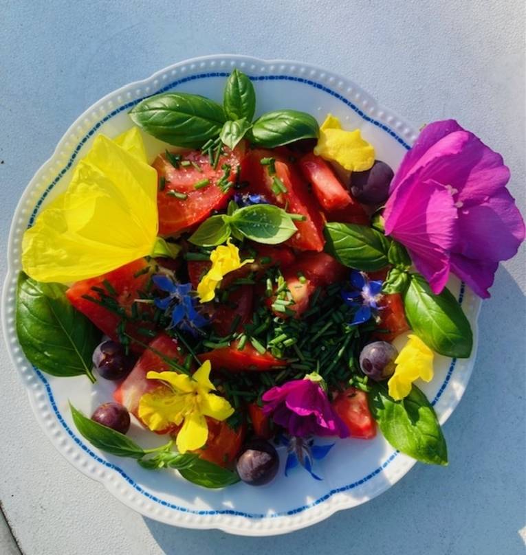 Bunte Blumen und Kräuter auf einem Teller