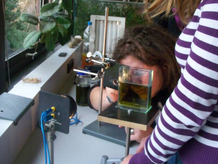 Frau blickt durch ein wissenschaftliches Gerät auf einen Behälter mit Flüssigkeit.