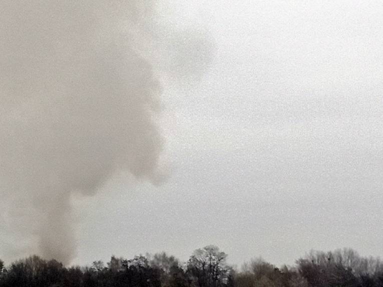 Rauch steigt &uuml;ber B&auml;umen auf.