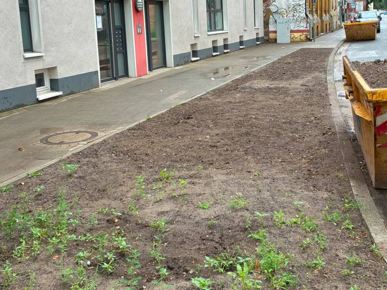 Blick auf ein Beet in einer Straße.