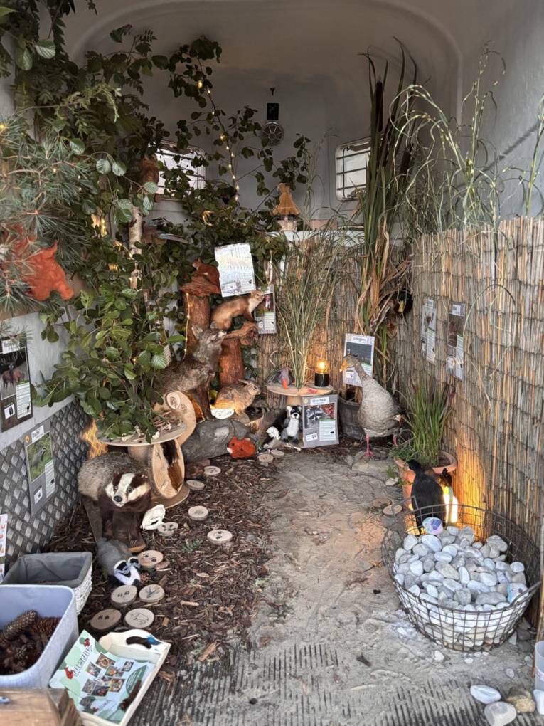 Blick in einen Pferdeanh&auml;nger, darin sind Exponate zum Thema Wald.